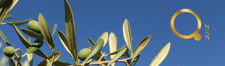 QURE - Profesionalūs produktai salono darbui [Graikija]